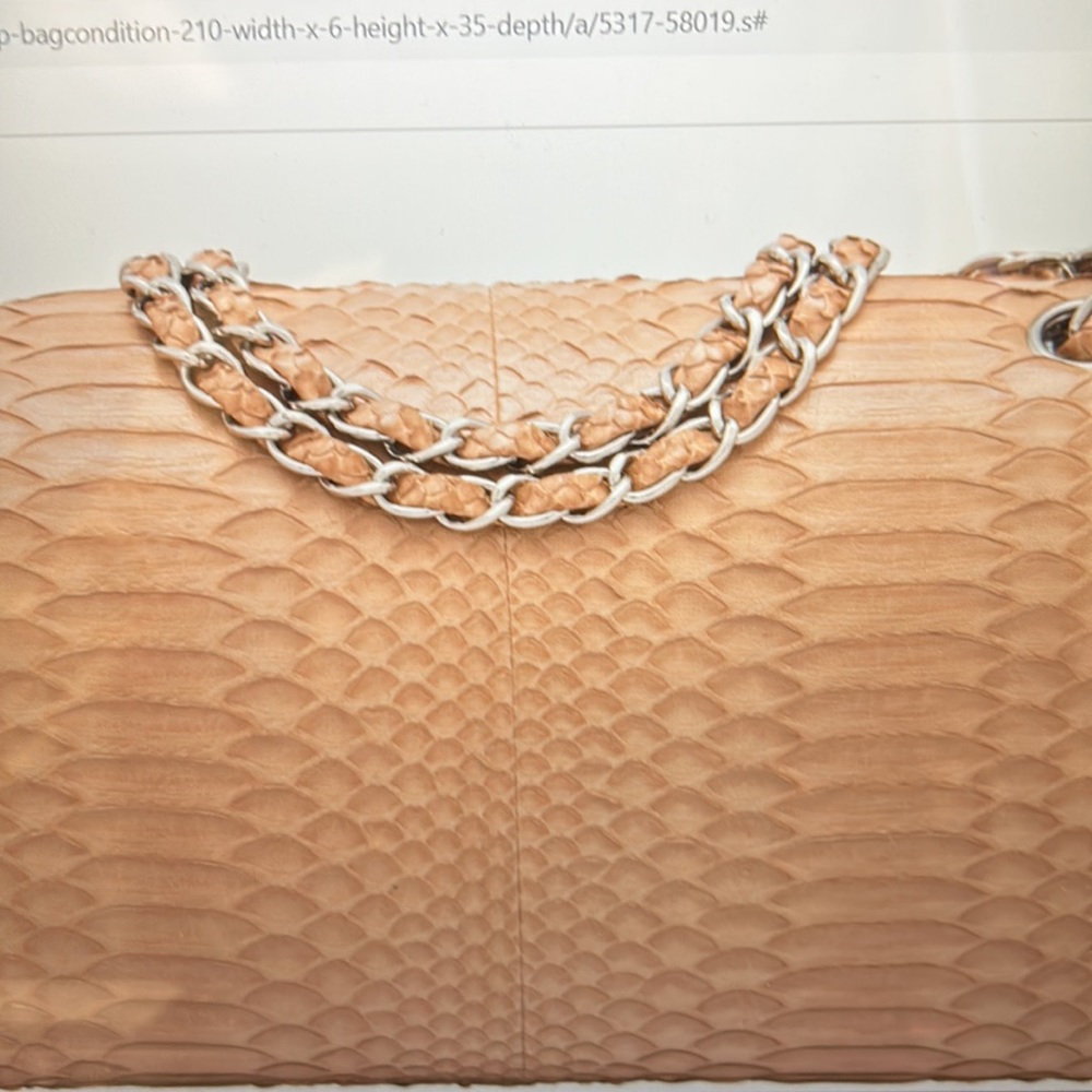 Chanel Beige Python Medium Flap Bag - image 2